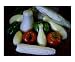 Study, Cook, Then Eat Your Vegetables Still Life Photographic Poster Print by Darlene Navor, 24x20