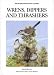 Wrens, Dippers and Thrashers (Helm Identification Guides) by David Brewer
