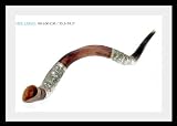 Amazing Silver-plated 35 to 39 Yemenite Shofar Kudu Judaica Plus Bag