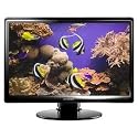 Hyundai IT America W220D 22-Inch Wide LCD Monitor