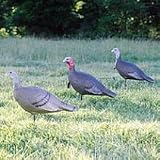 Feather Flex® Love Triangle Turkey Decoy Flock