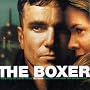 The Boxer