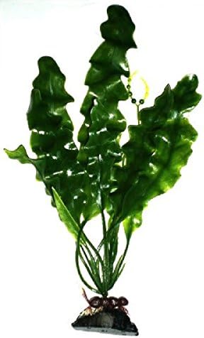 2 Pack 12 Inch Amazon Sword Bleheri Artificial Plant For Tropical Fish Aquariums &amp; Terrariums. Great For Angel Fish &amp; Tetras!