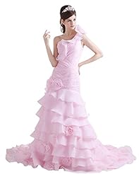 Mermaid One Shoulder Natural   Waistline Lace Floor Length Organza  Dress