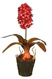 Small Hyacinth - Red - Artificial Plant