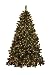 GKI Bethlehem Lighting Pre-Lit 7-1/2-Foot PE/PVC Christmas Tree with 500 Clear Mini , Medium Canterbury