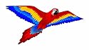 X-Kites Macaw - Red