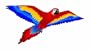 X-Kites Macaw - Red