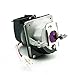 CTLAMP SP-LAMP-025 Replacement Projector Lamp/Bulbs with Housing for INFOCUS IN72 / IN74 / IN74EX / IN76 / IN78 Projectors