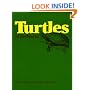 TURTLES OF THE WORLD PB