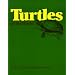 Turtles of the World