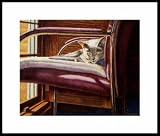 Angelikka Framed Mini Print by Drew Strouble