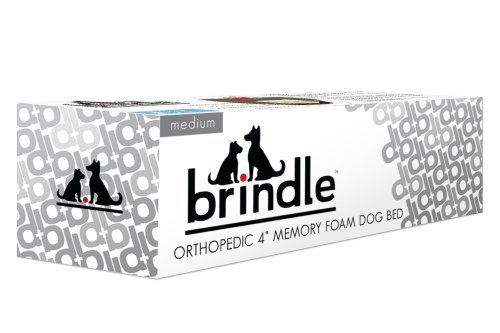 Brindle 4