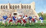 Football Stadium - Sports Wall Mural Accent