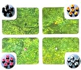 GRAIN(�O���C��) ���o�[�V���b�g�V���J�[ �u���b�N #8