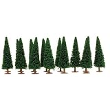 Evergreens, 6" (14)