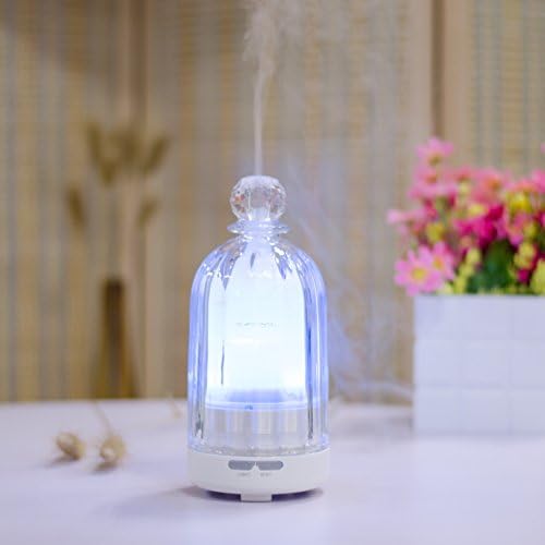 REDUO 100ml Aromatherapy Essential Oil Diffuser, Ultrasonic Cool Mist Aroma Humidifier with Waterless Auto Shut-off Function, Perfume Glass Shell (Transparent)