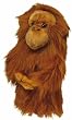 Daphne's Novely Headcover - Orangutan by Daphne's