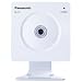 Panasonic BL-C1A-S Network Camera and Pet Cam (Silver)