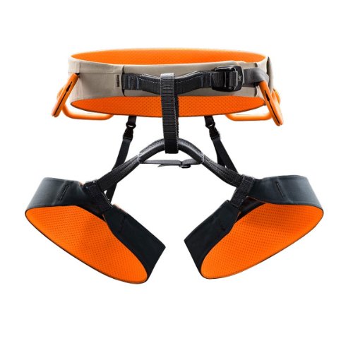 Arcteryx R300 Harness