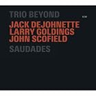 Saudades by  Trio Beyond 