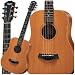 Musical Instruments : Taylor Guitars Baby Taylor, BT2, Mahogany, Natural