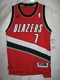 Brandon Roy Portland Trail Blazers Red NBA Youth Swingman Revolution 30 Jersey