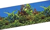 BACKGROUND FRESH WATER FLORA