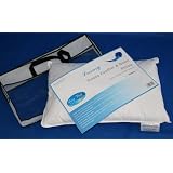 Children's Goose Feather & Down 40 x 60cm Toddler Pillow