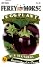 Ferry-Morse 2038 Eggplant Seeds, Black Beauty (240 Milligram Packet)