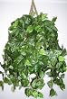 Deluxe Artificial Pothos Hanging Plant