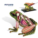 Frog Anatomy Biology Study Kit