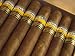 Close-Up of Limited Edition Cigars in a Box, Cohiba, Havana, Cuba, West Indies, Central America Photographic Poster Print by Eitan Simanor, 18x24 Close-Up of Limited Edition Cigars in a Box, Cohiba, Havana, Cuba, West Indies, Central America Photographic Poster Print by Eitan Simanor, 18x24