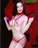 Dita Von Teese 8x10 Photo