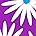Purple Daisy