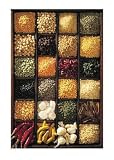 Spices Art Poster Print, 20x28