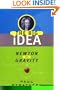 Newton and Gravity: The Big Idea (Big Idea Series)
