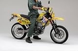 デイトナ:DAYTONA モタードスプリングセット ダウン量：フロント約35mm、リヤ約40mm KAWASAKI : SUZUKI D-TRACKER [Dトラッカー] : 250SB