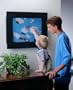 Frame A Fish Aquarium - Fish tank