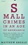 Small Crimes in an Age of Abundance