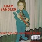 Click here to buy What The Hell Happened To Me! by Adam Sandler .