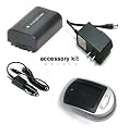 Compatible Accessory Kit - High-Capacity Rechargeable Lithium-ion Battery and AC/DC Battery Charger ( Power plug & Car ) for / fits digital camera/camcorder model/parts no PANASONIC NV-GS500EF-S