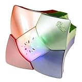 The Barbie Diaries Secret Fortune Teller