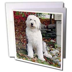 image link -  - B000VG70EW