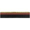 Brockhaus. Die Enzyklop�die in 24 B�nden. Pflichtfortsetzung Band 1-24: Brockhaus Enzyklop�die, 20., neubearb. Aufl., 24 Bde.