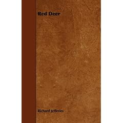 Red Deer