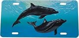 Dolphin License Plate 4906-01