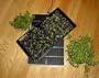 Indus Tool GroMat Seedling Environmental Control Mat 38 x 17
