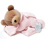 Silkie Slumber Bear Natural Audio Pacifier - Ice Pink