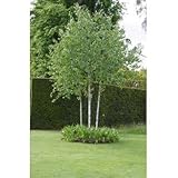 ���i�̏ڍ�